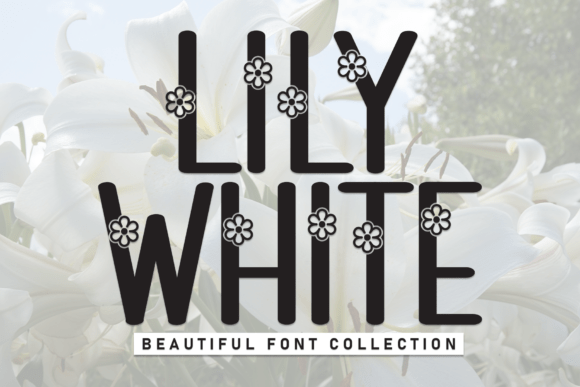 Font Choice That Speaks Volumes: Lily White in Action